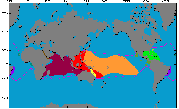 Karte der Riffregionen (Pazifik, Karibik, Atlantik) der Erde