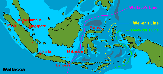 Karte von Wallacea