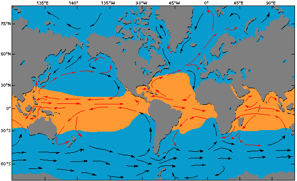 Map: warm and cold currents on earth